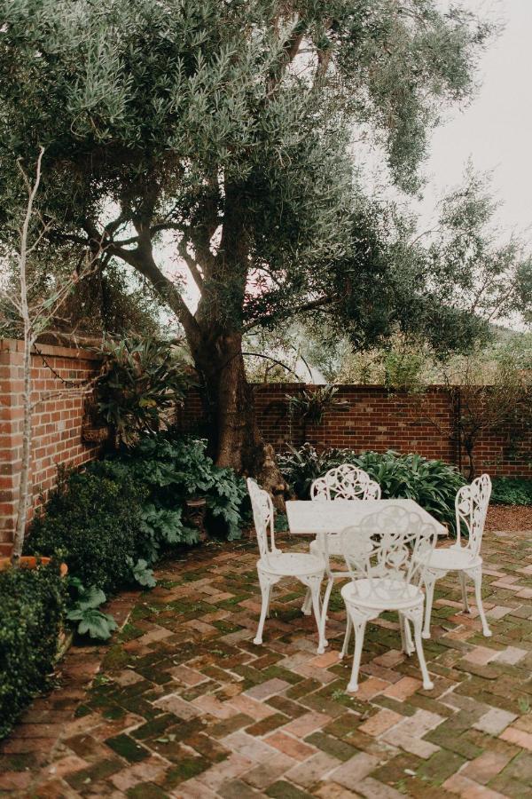 The Allotment Albany - Centrally Located Cottage In Old ألباني المظهر الخارجي الصورة